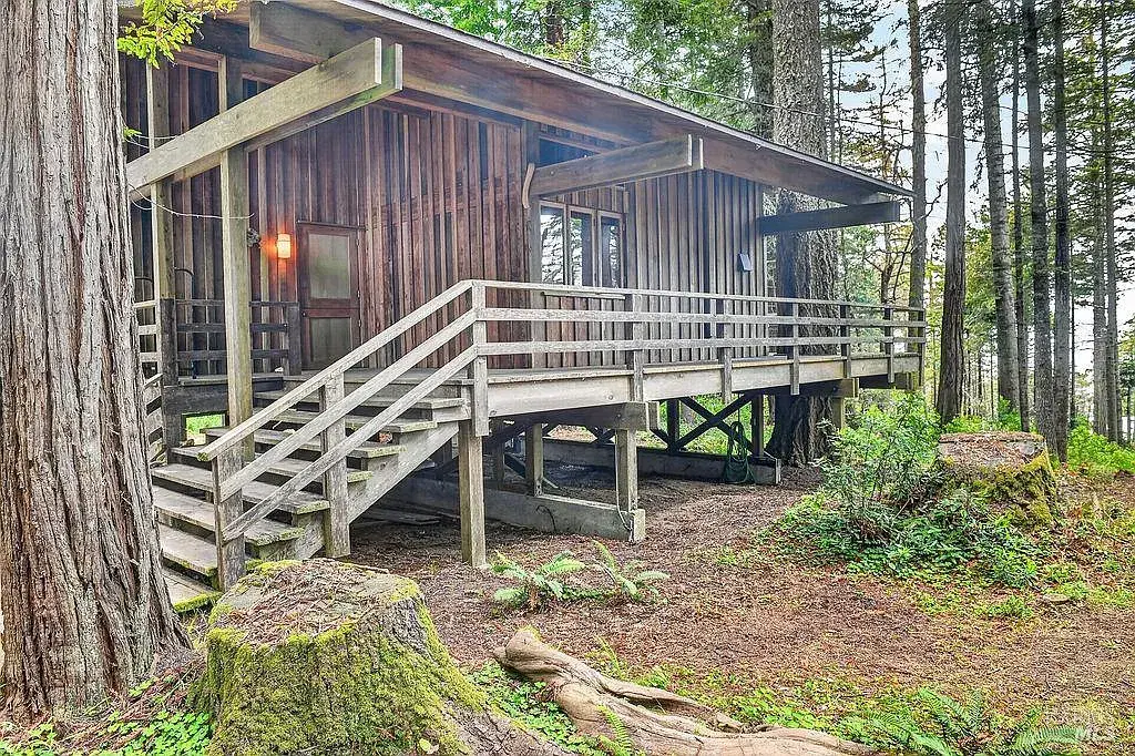 Main property