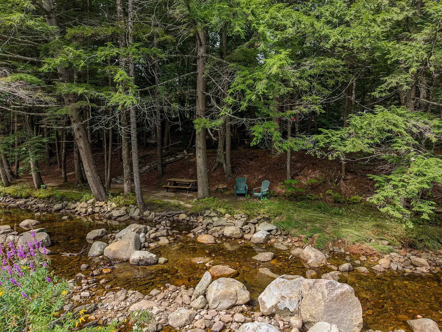Main property