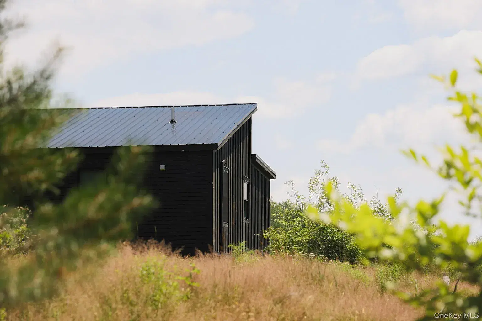 Main property