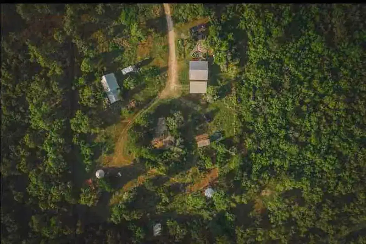 Main property